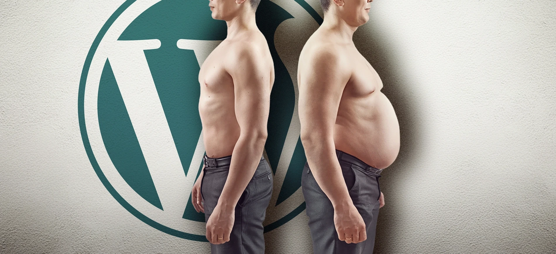 Hf blog wp plugins 06