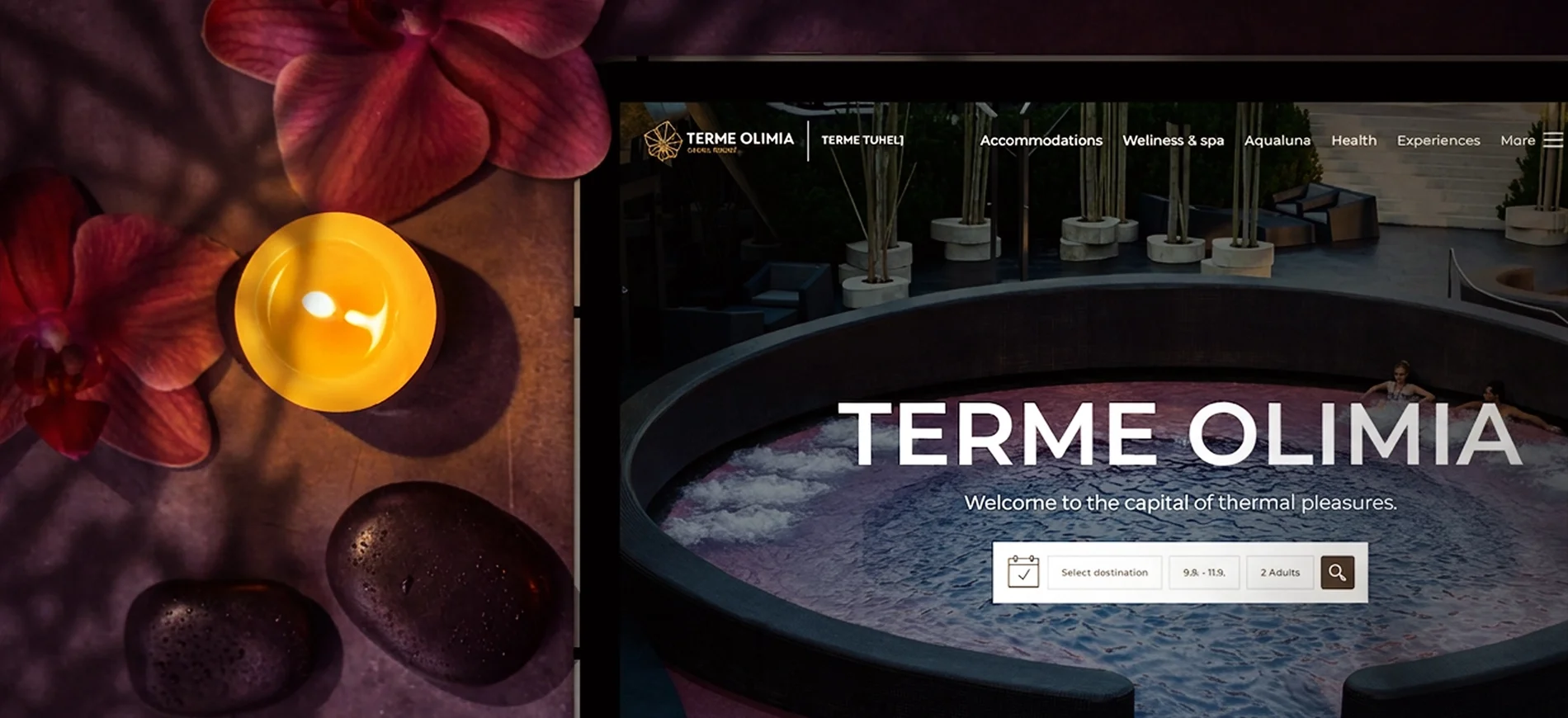 Terme olimia cover 01