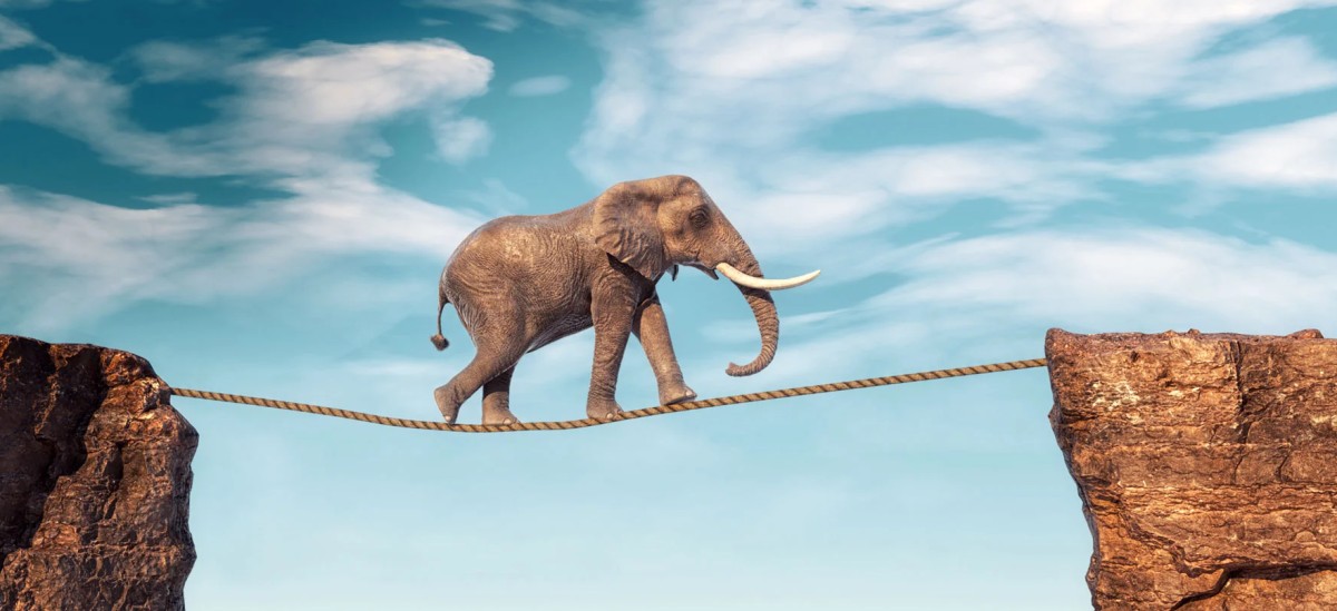 Hf blog viral moment