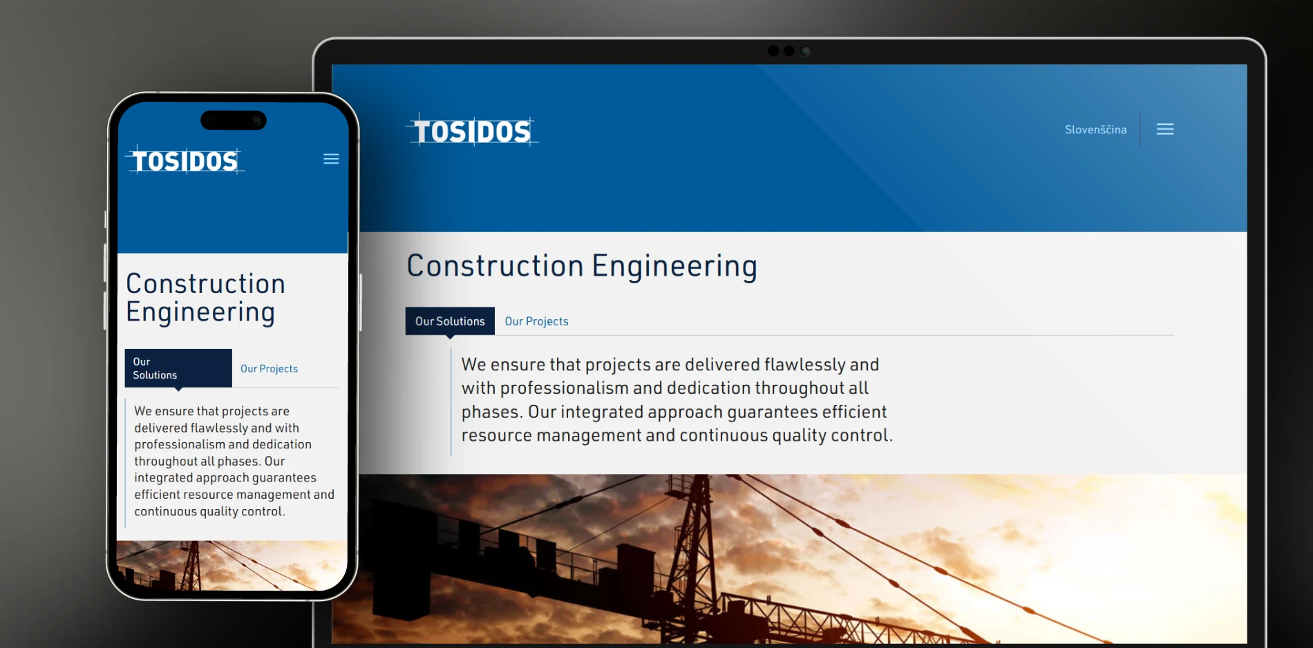 Tosidos website 02 desk